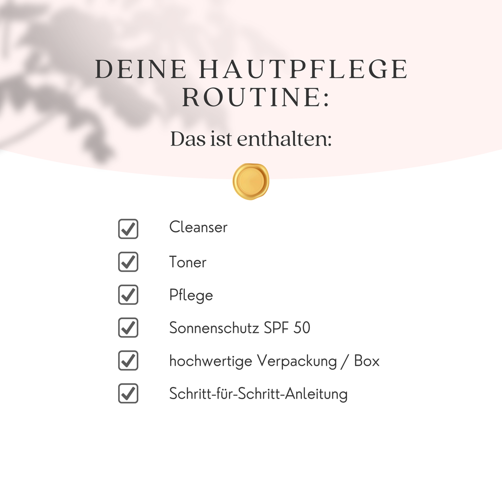 Morgen- & Abendroutine 'Essentials' + LSF50 + Hyaluronsäure, Niacinamid, Snail Mucin