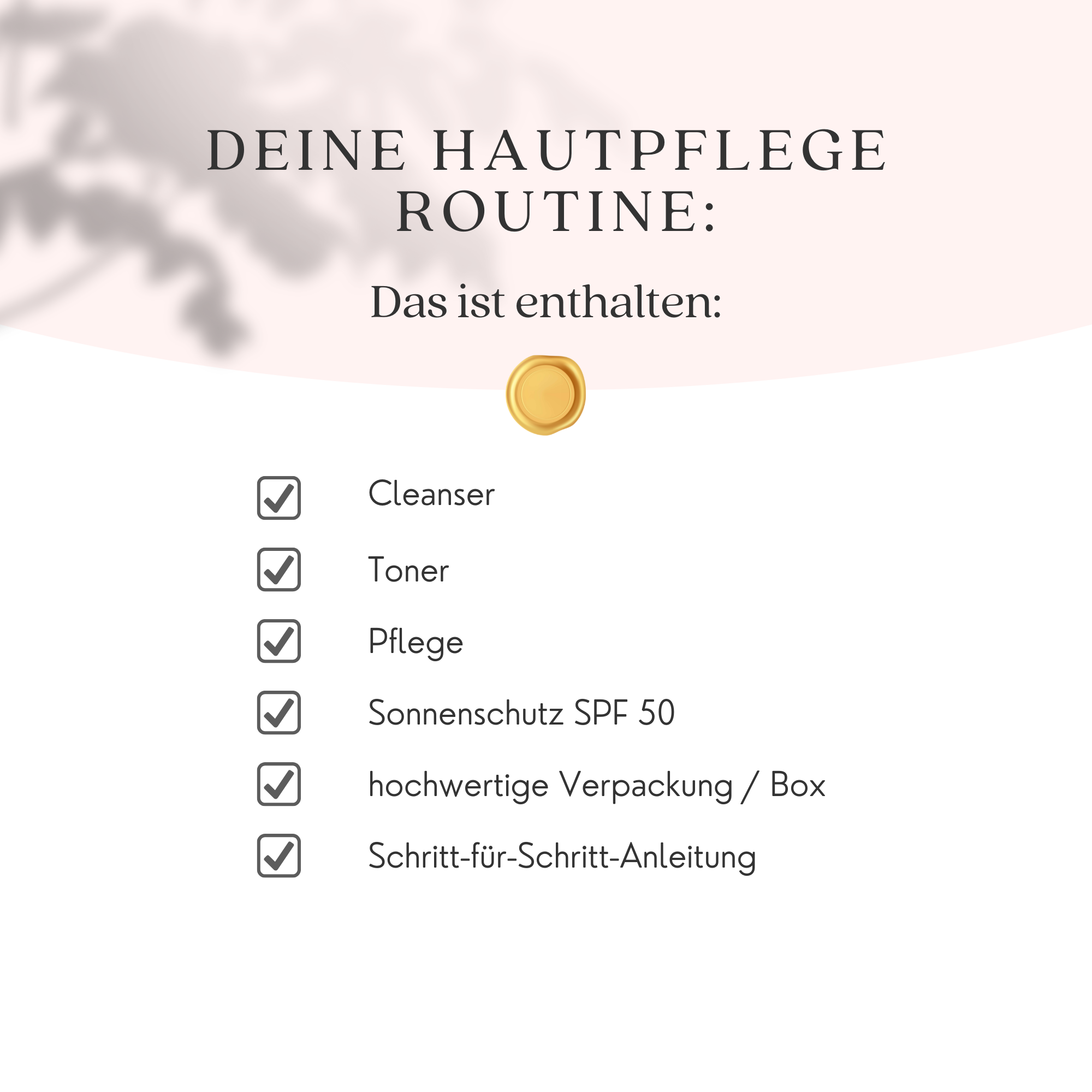 Morgen- & Abendroutine 'Essentials' + LSF50 + Hyaluronsäure, Niacinamid, Snail Mucin